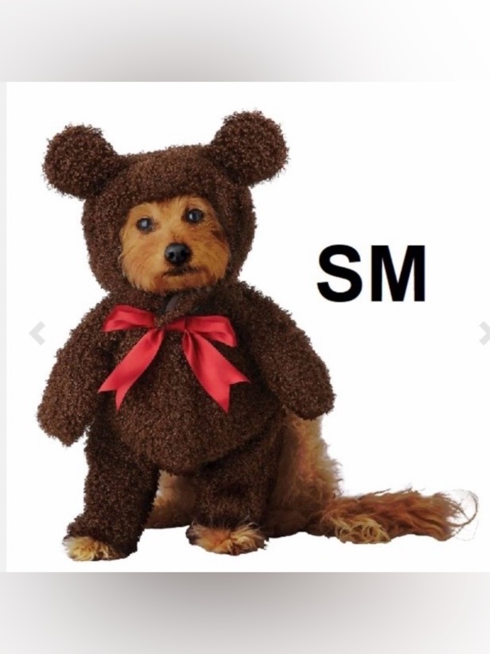 Teddy Bear Dog Halloween Costume